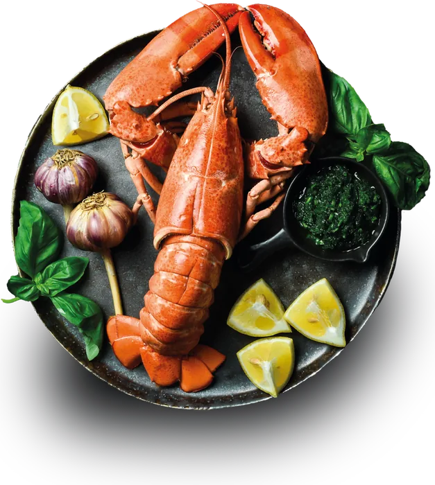 Bogavante