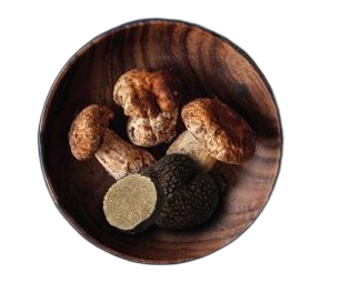 Boletus y trufa