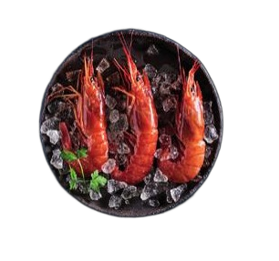Gamba roja